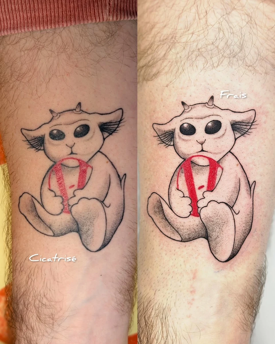 Petit Ned cicatrisé 🙏🏼 Merci encore pour vos jolies photos, ça fait toujours plaisir de voir le résultat final.