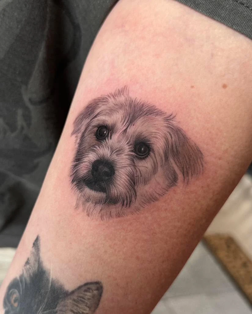 Lovely "Matti" 🐶🐶🐶 ▪️ ▪️ ▪️ ▪️ ▪️ ▪️ ▪️ ▪️ ▪️ ▪️ ▪️ ▪️ ▪️ #blackandgrey #petportrait #realistic #cat #kid #essen #bochum #dortmund #recklinghausen #herne #dusseldorf #tinytattoos #portraittattoo #microrealism #design #catportrait #tattoodope #tattooart #tattooed #tattooartist #cheyennetattooequip
