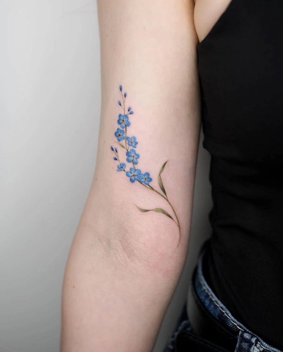 forget me not flowers