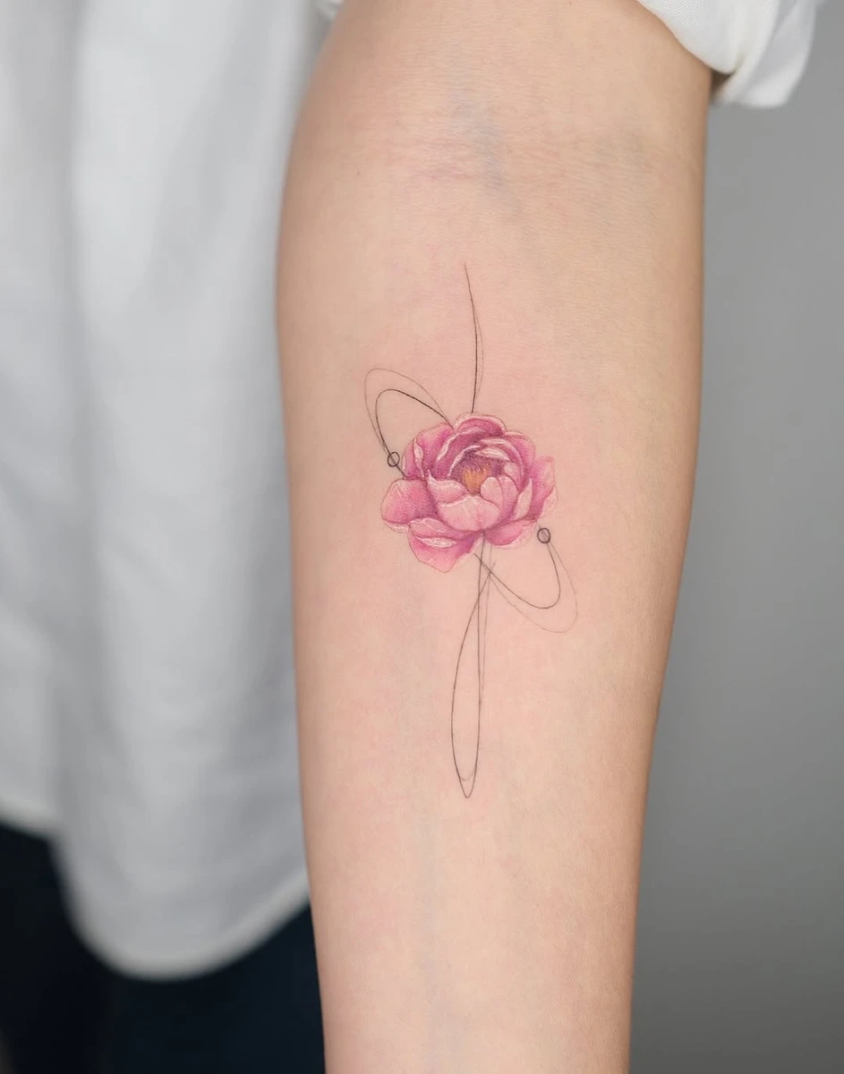 Peony flower 🌺