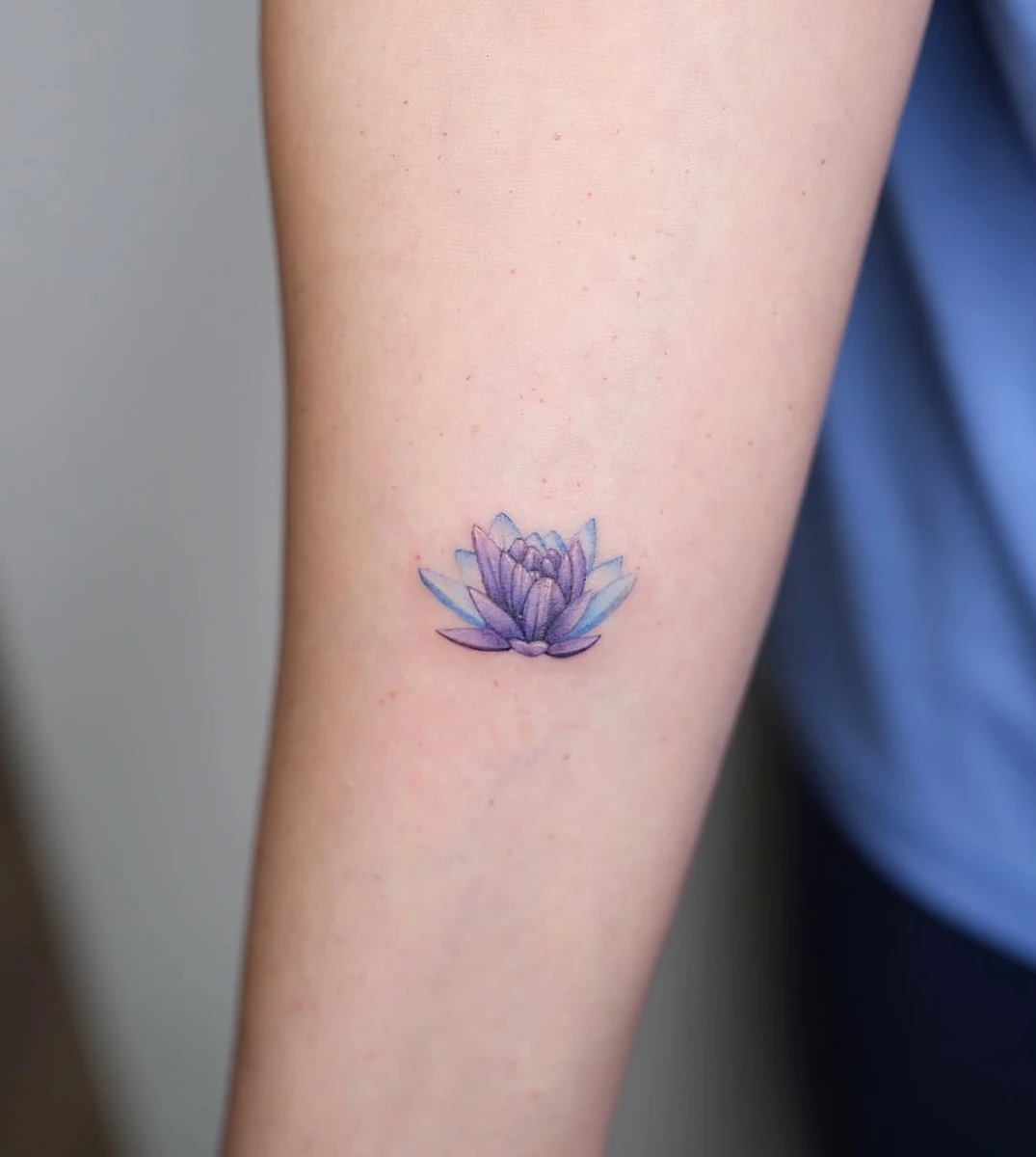 lotus flower 🪷