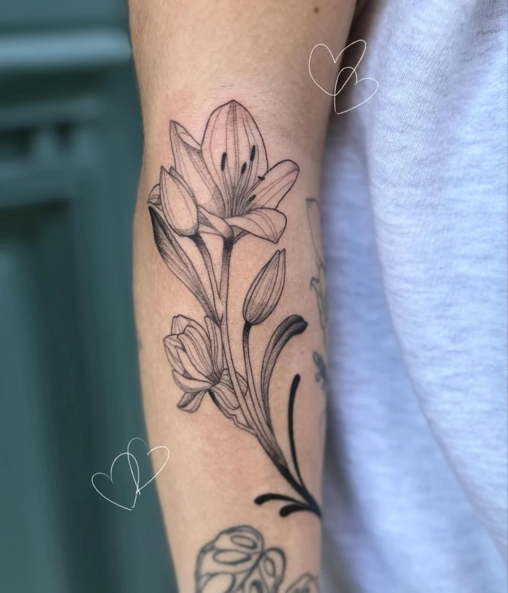 Travail de Manon