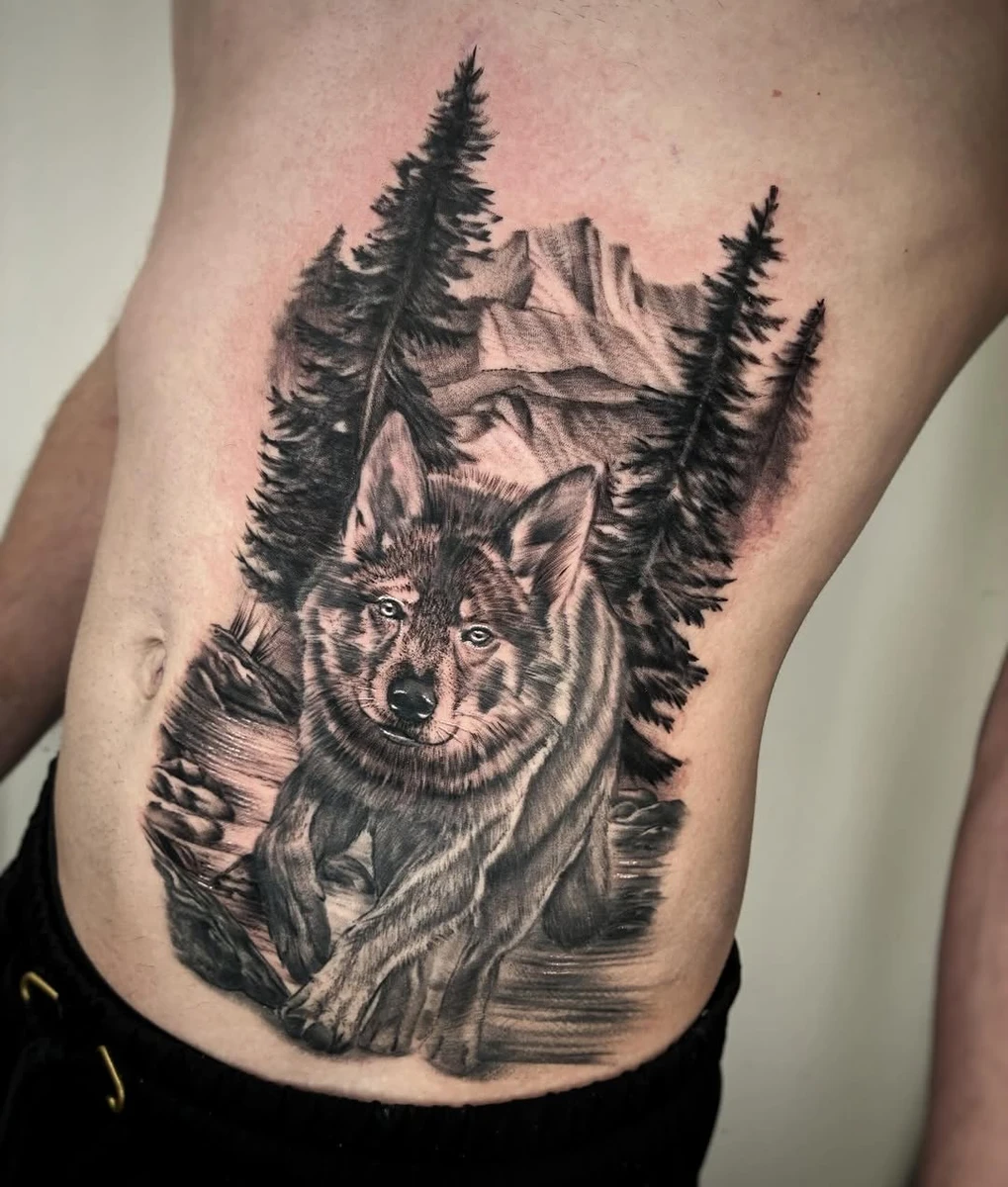 Travail de Vlad Morgan