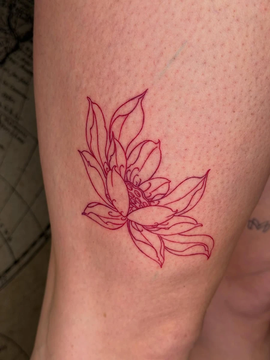 Un magnifique lotus 🪷 rouge, simple sans ombrage mais efficace 👌