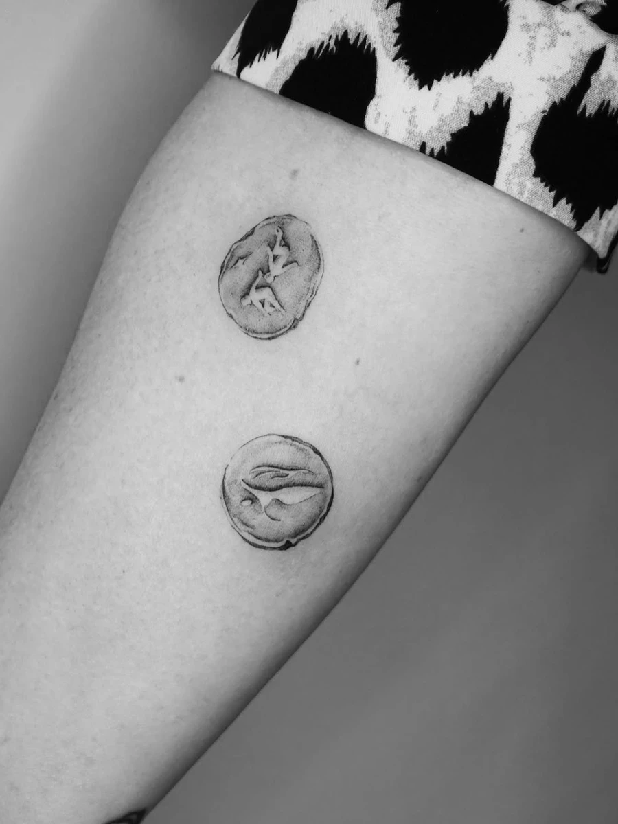 Les pièces Astro adoptées.