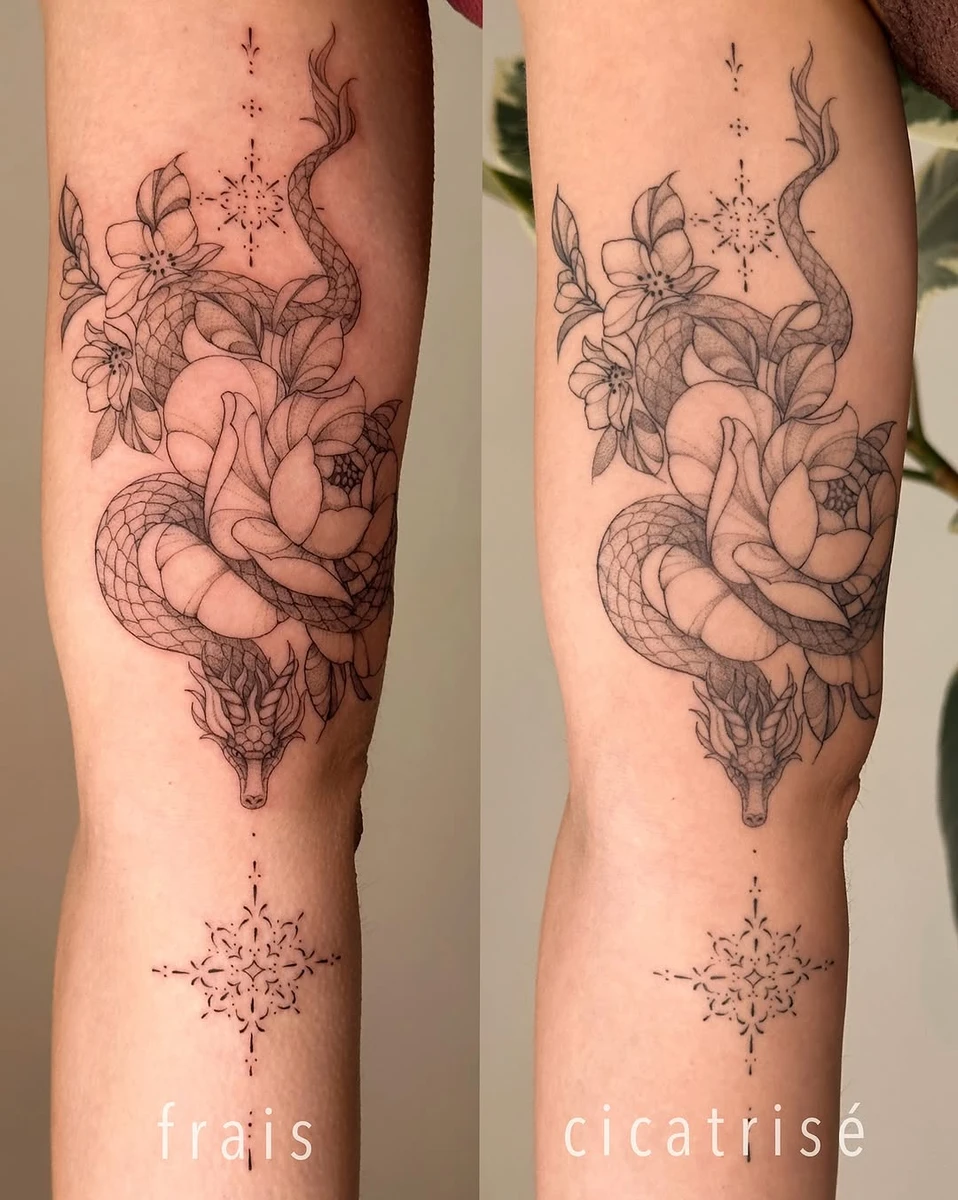 Des tattoos tous frais vs cicatrisés sans retouche 😊 merci les filles pour ces projets d'en avoir pris soin et d'être revenues faire des photos 🫶 Les tatouages ici ont environ 1/2 mois de cicatrisation, il est important de savoir qu'un tatouage évolue tout le long de la vie, il est possible qu'il 