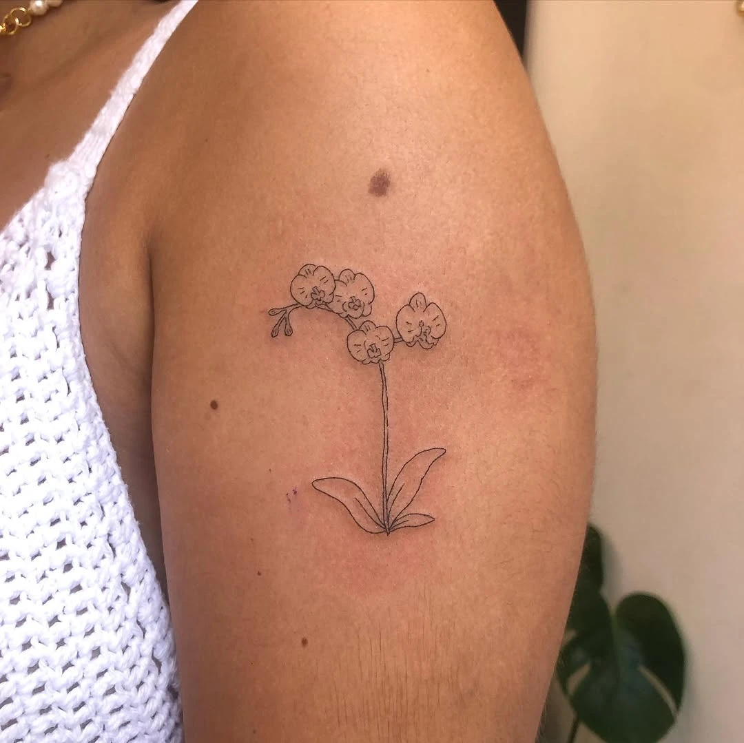 Fine line réalisé en 1RL.