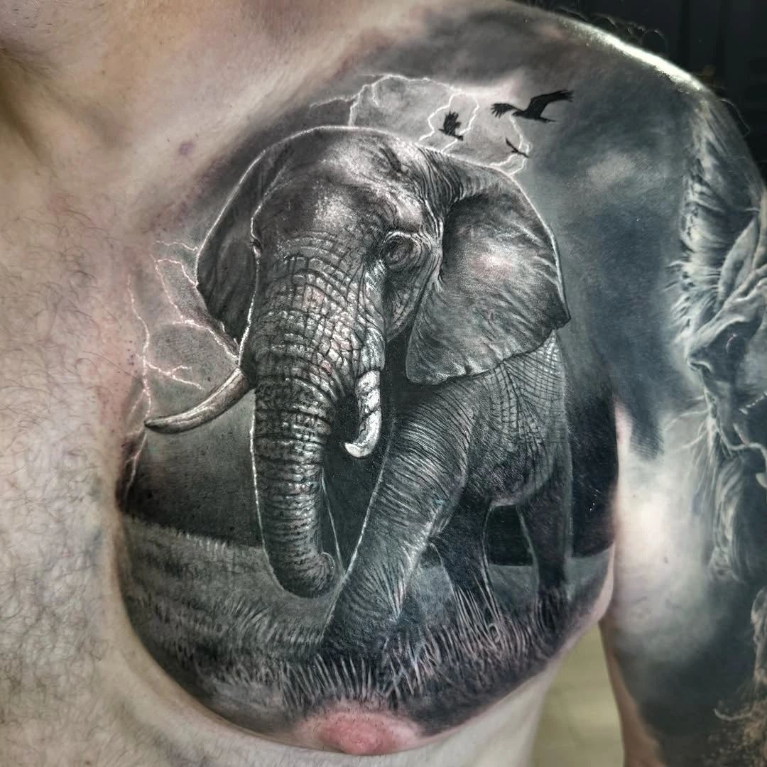 Deuxième cover sur Greg — réalisé au @miroir.d.ebene.