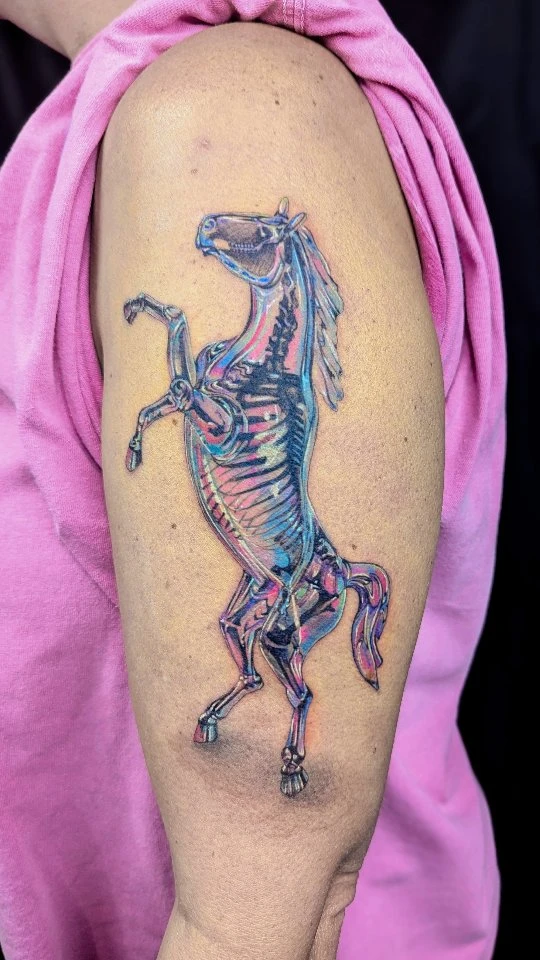 Cheval squelette « de verre » réaliste couleur — merci Cheryl.