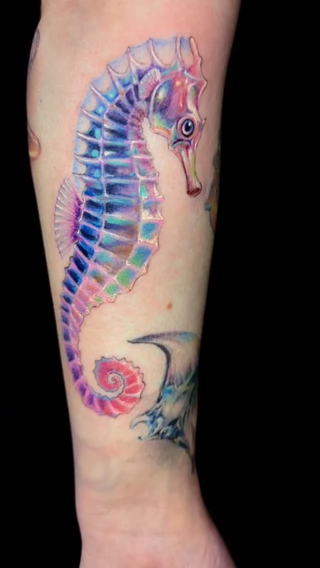 Hippocampe réaliste couleur — merci @rendoesathing.