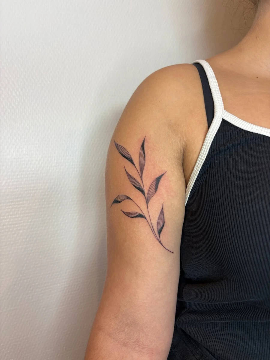 Le feuillage signature ça faisait si longtemps, j'ai pu le tatouer à Lijana il y a quelques temps pour mon plus grand plaisir 🥹💛 #tattoo #leavestattoo #finelinetattoo #tattooist