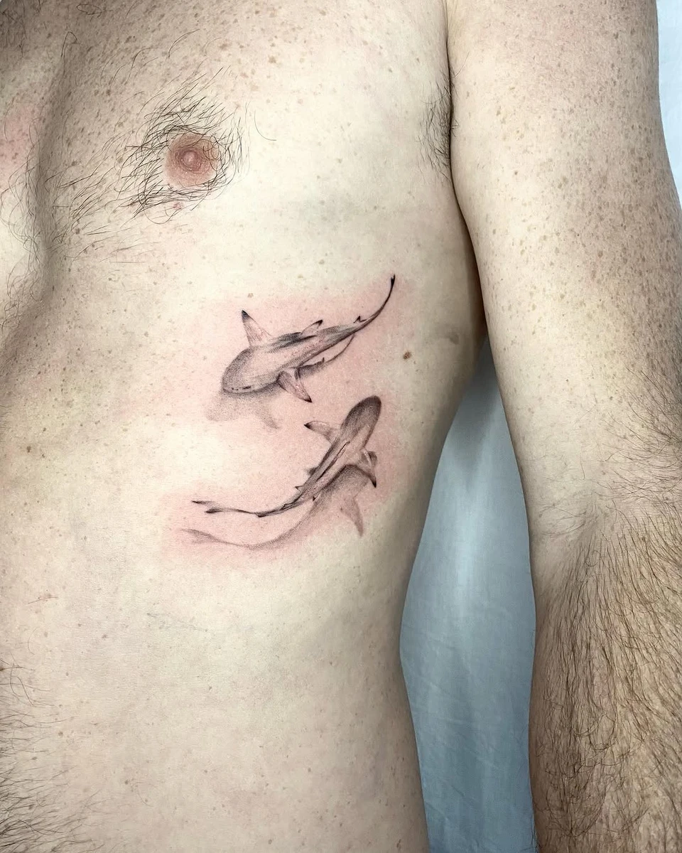 Premiers petits requins en semi-réalisme.