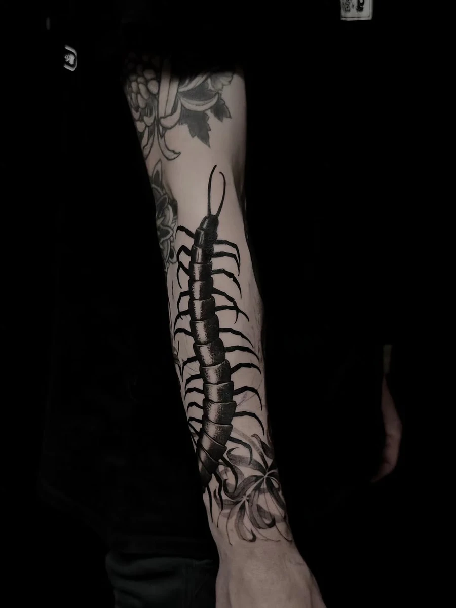 Travail de Anne Bonny