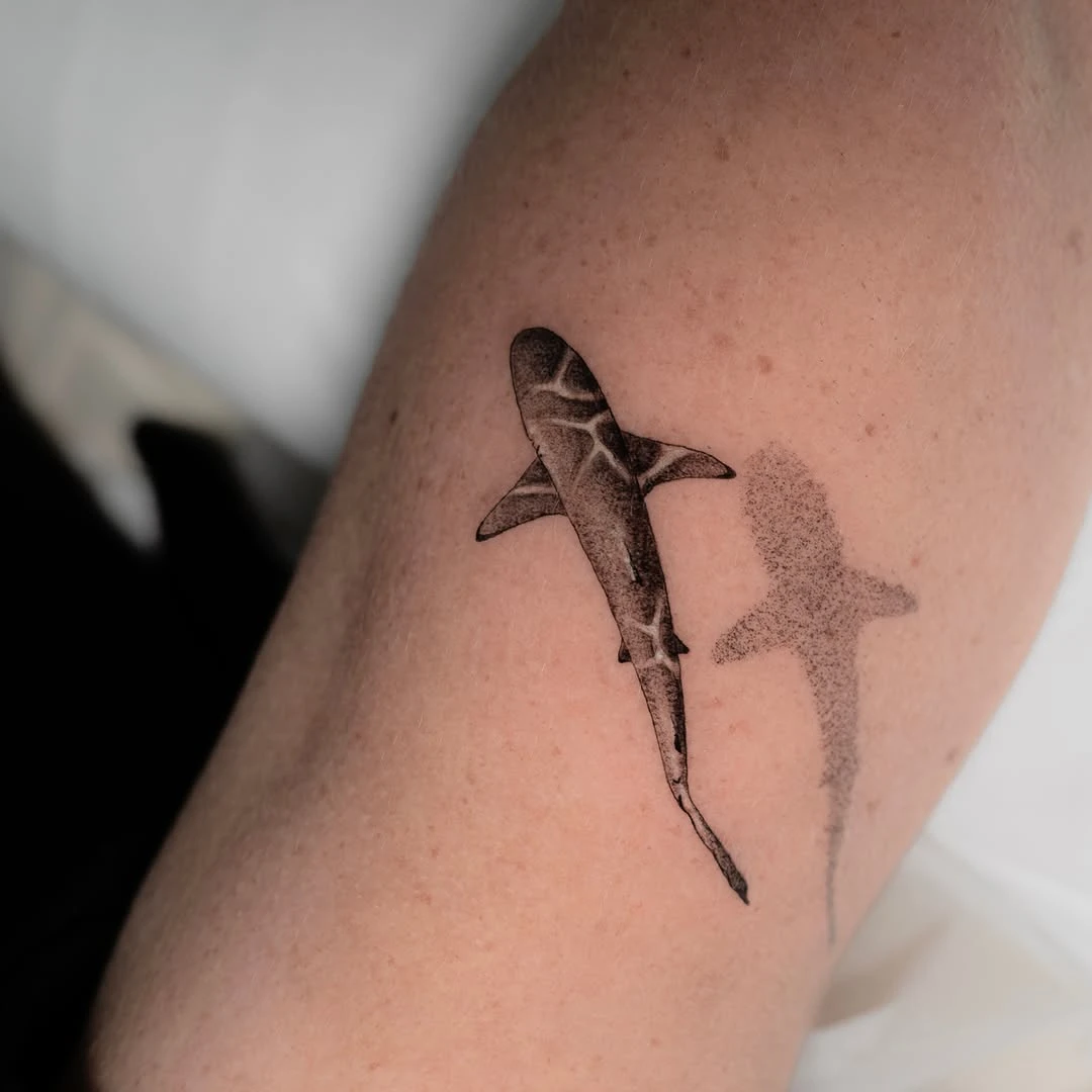 Blacktip shark 2 🦈🖤 #blacktipshark #shark #sharktattoo #requin #microrealismtattoo