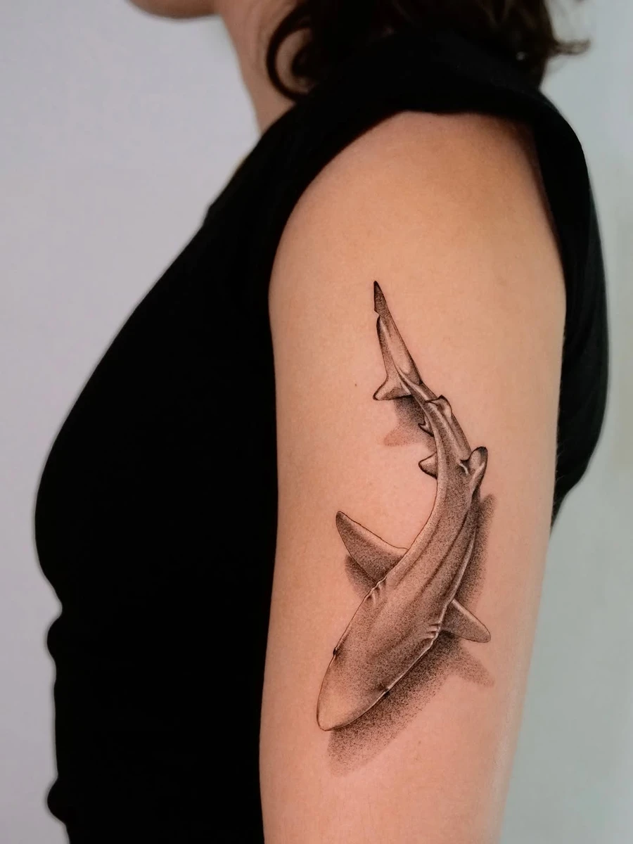 Blue shark 🦈 #blueshark #sharktattoo #oceantattoo #microrealismtattoo #sharklover