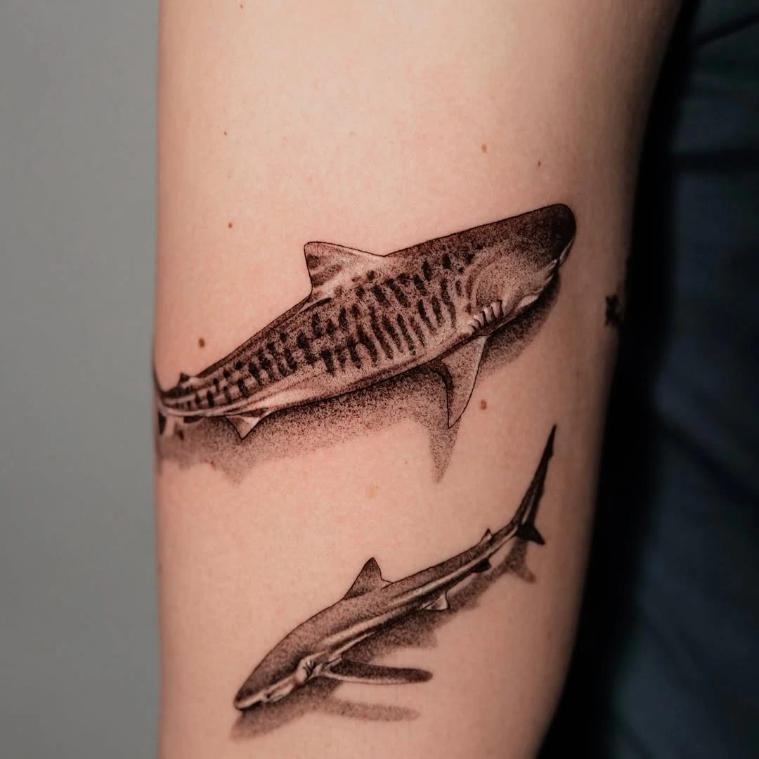 Travail de Emilie Eklor