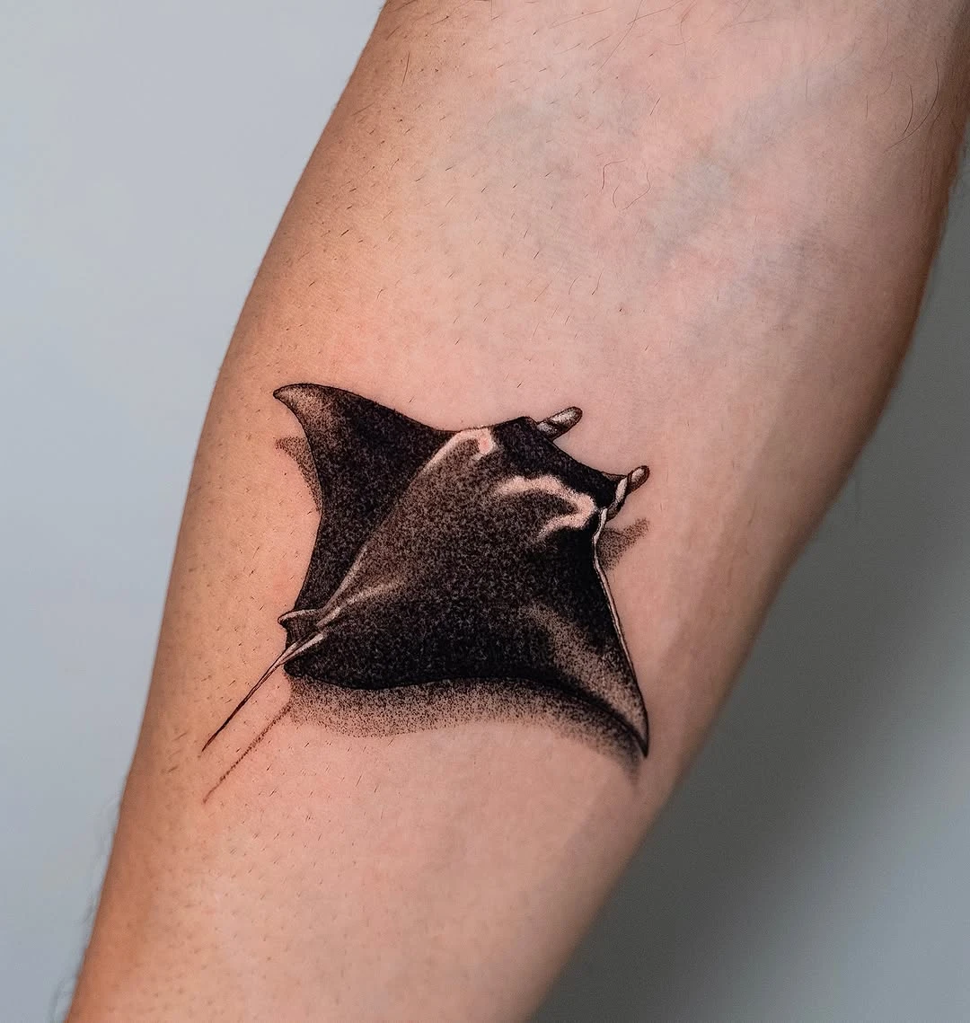 Travail de Emilie Eklor