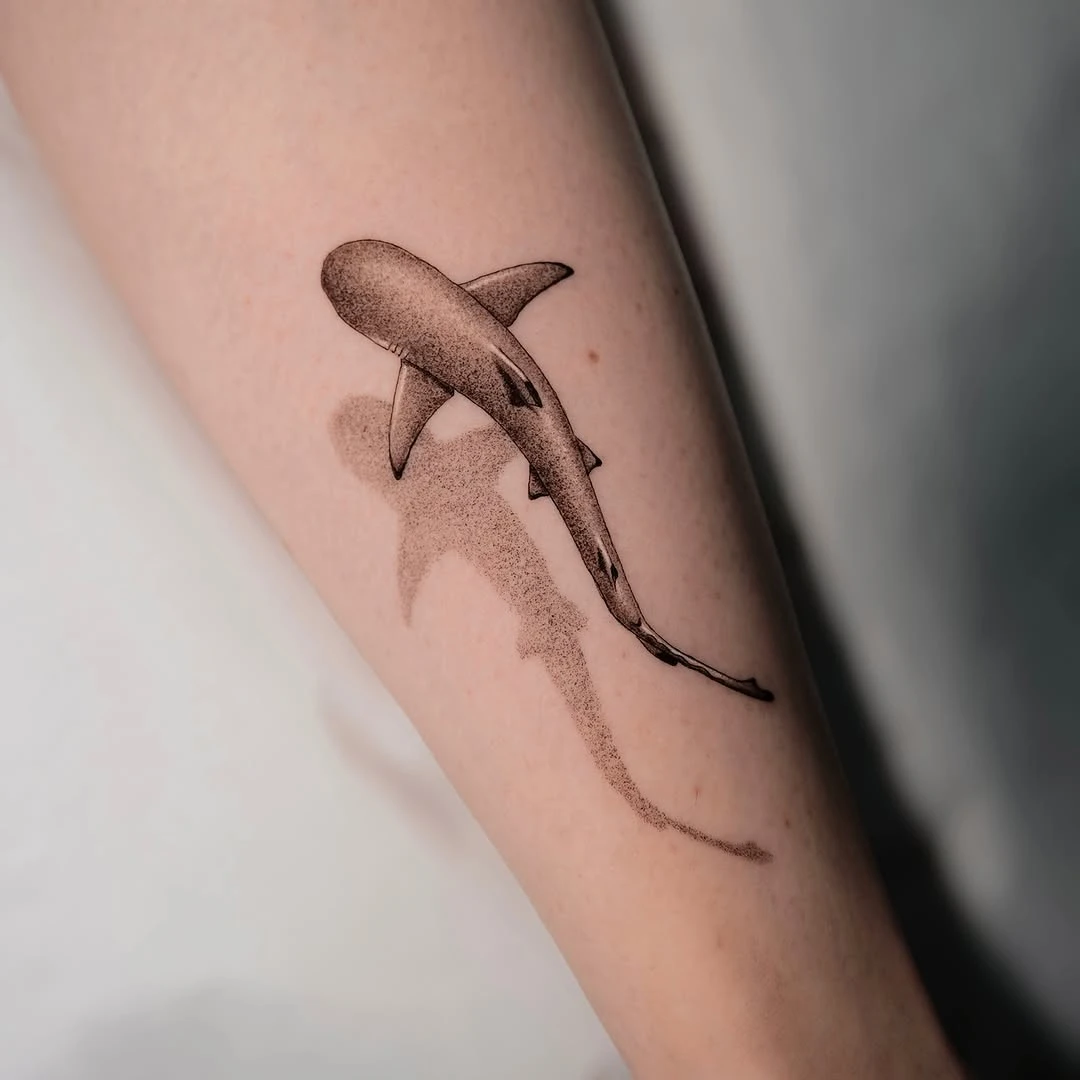 Travail de Emilie Eklor
