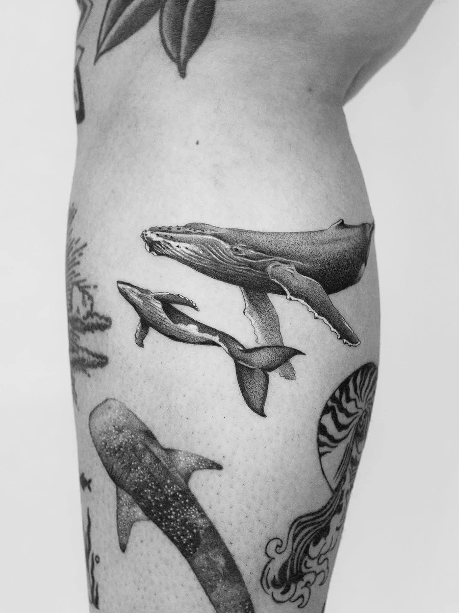 Baleine à bosse et baleineau 🐋🤍🐳 (le requin baleine n'est pas de moi) #whaletattoo #whale #oceantattoo #microrealismtattoo #tattoo