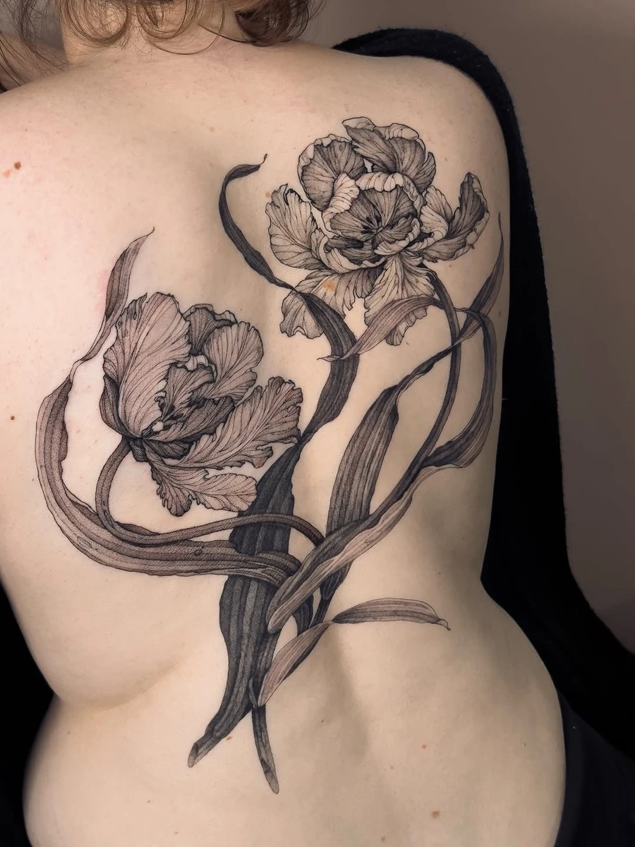 Travail de Carolanne