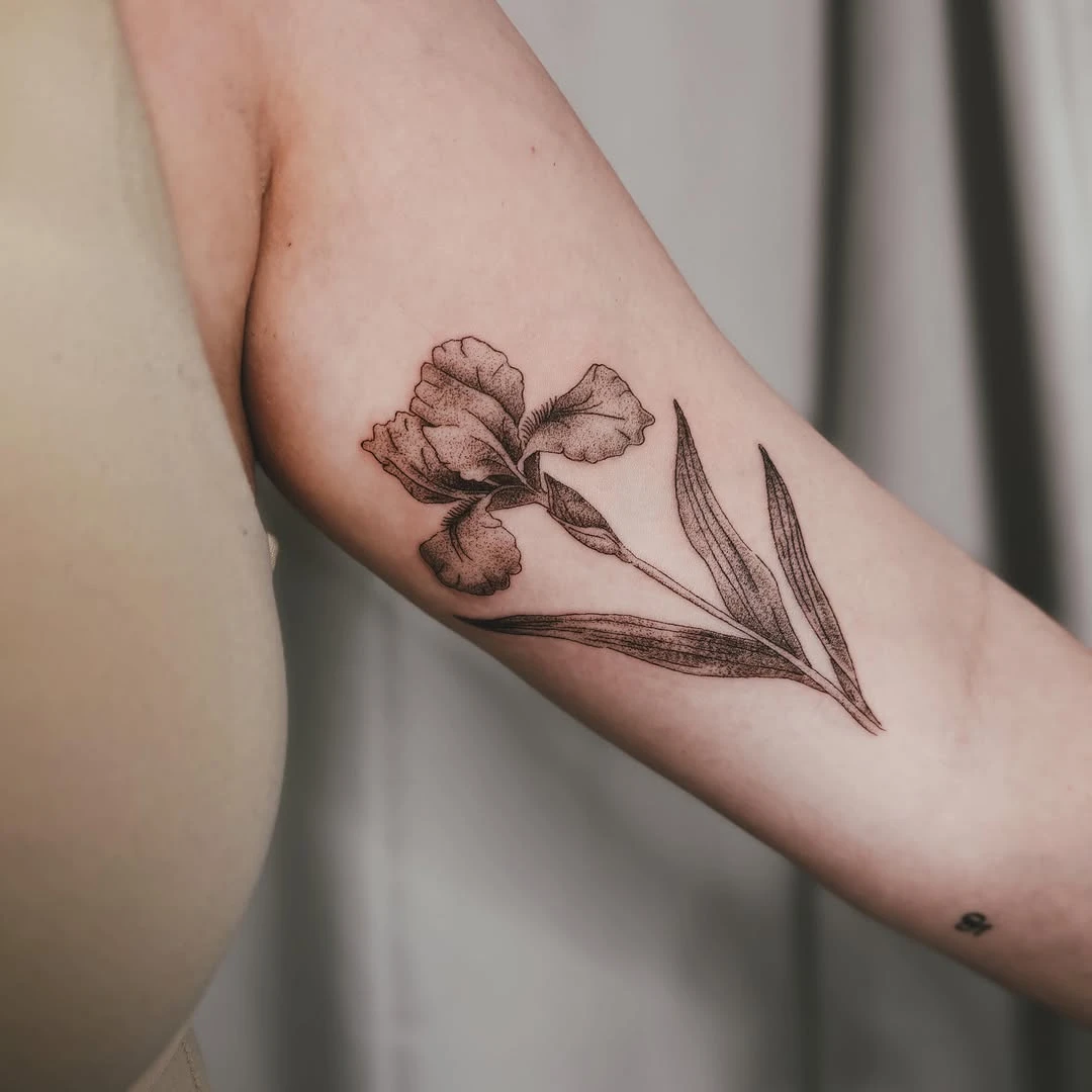 Portfolio de Mélodie Vachon Boucher