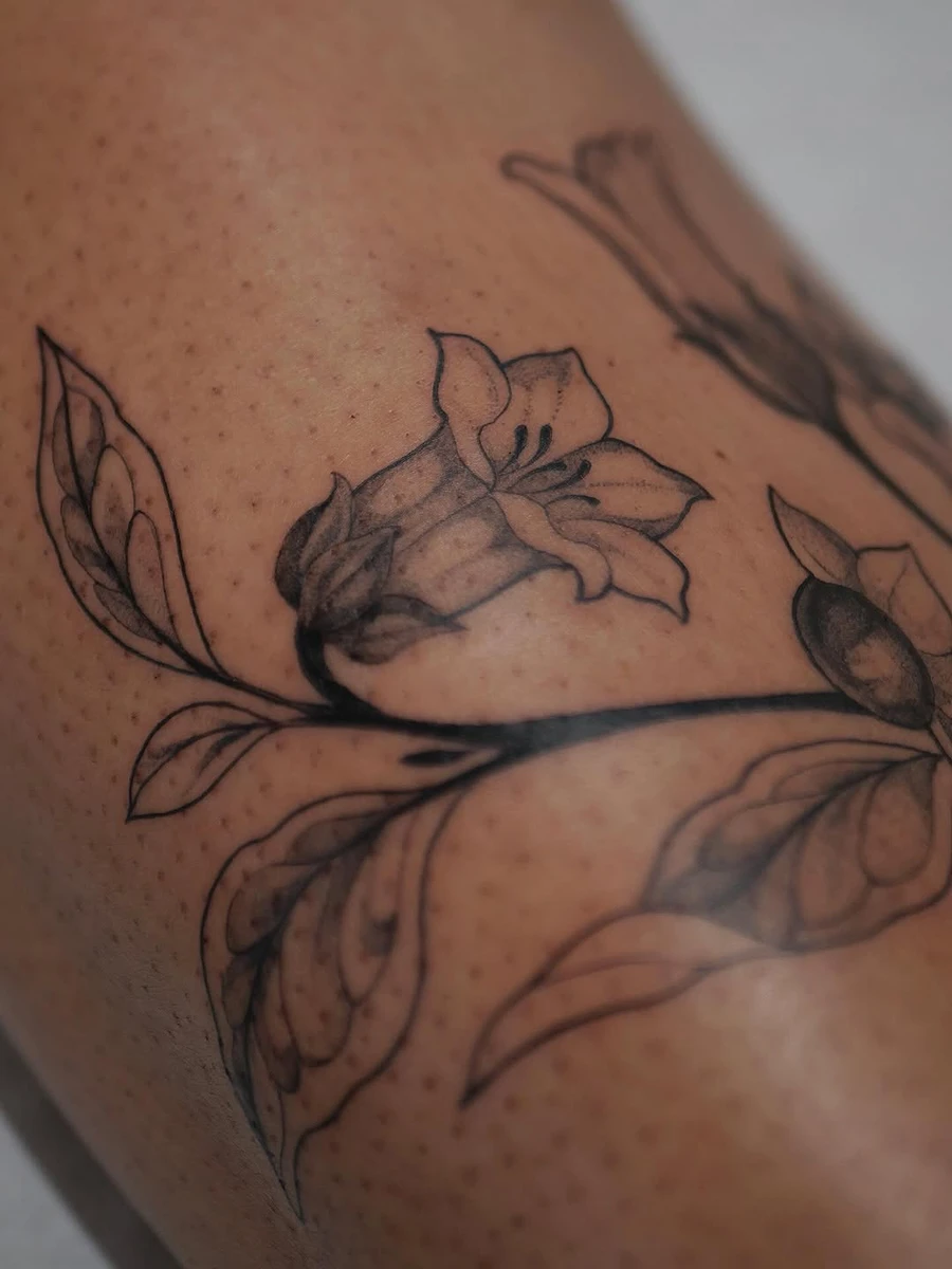 Travail de Elodie