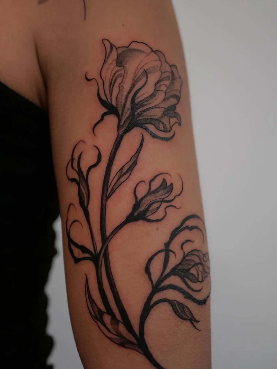 Travail de Elodie