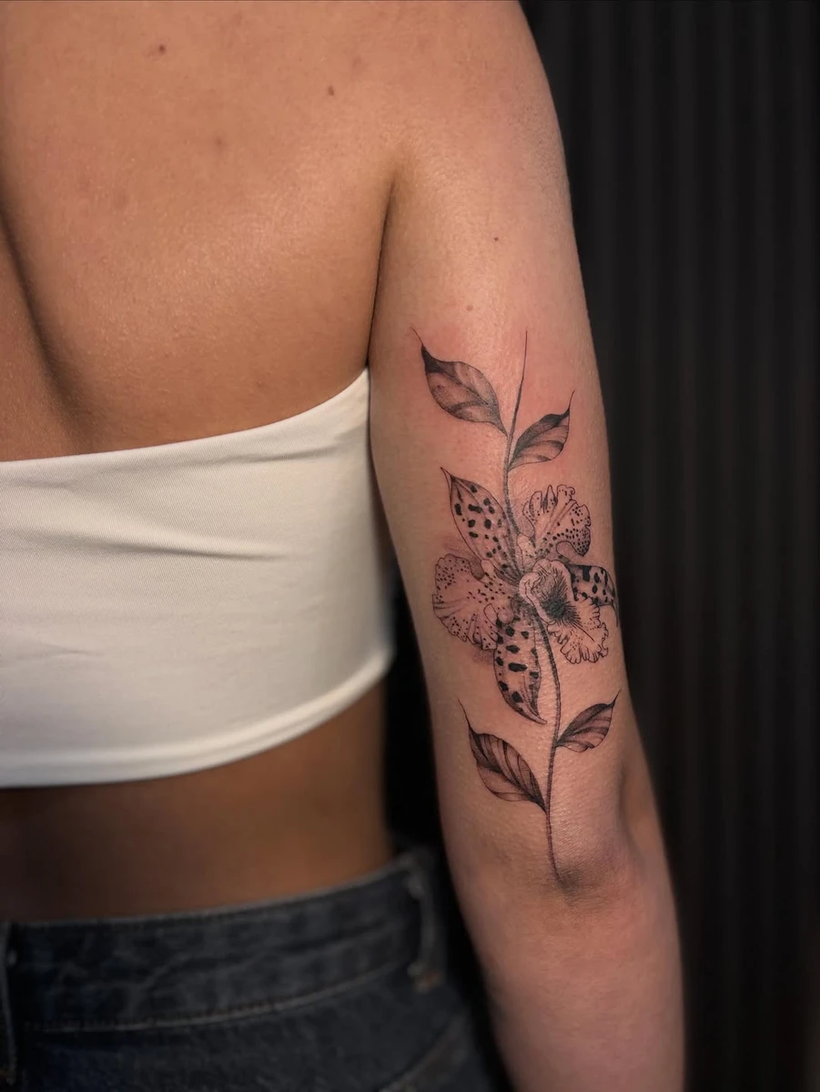 Travail de Chloé