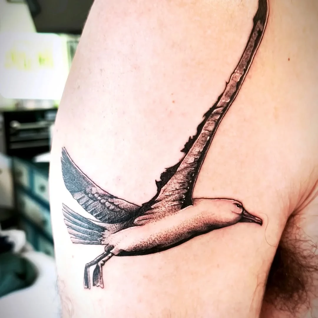 Albatros tiré d'une photo #realistictattoo #albatros
