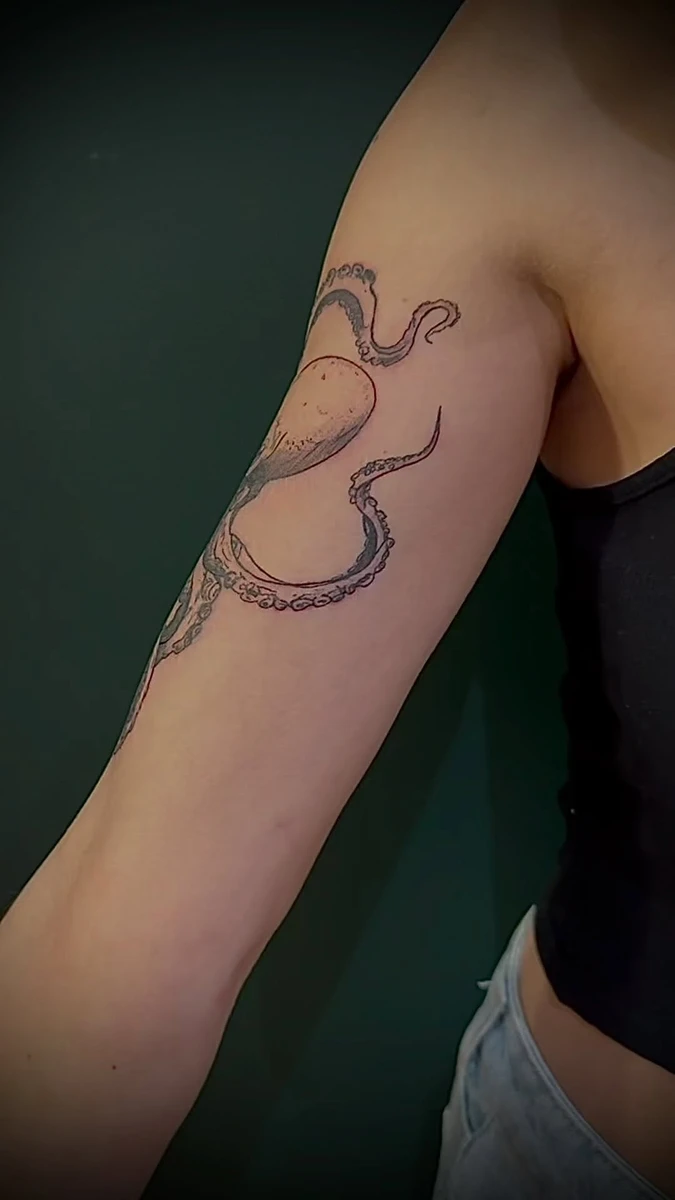 Portfolio de Eklekt'ink