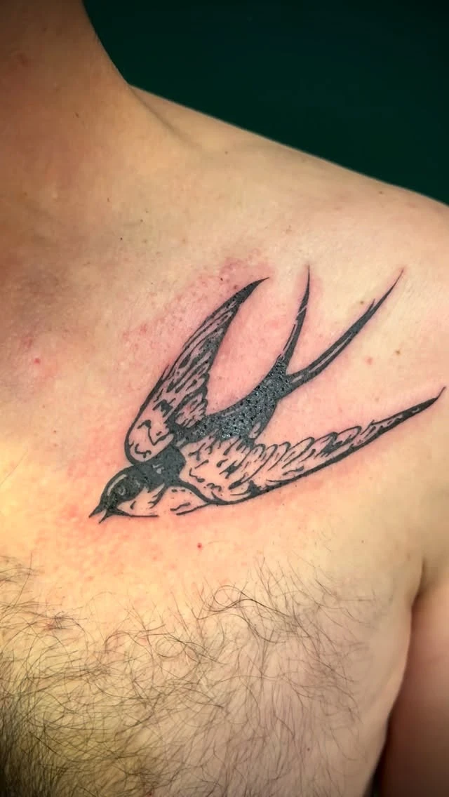 Hirondelle — merci Grégoire pour ta confiance.