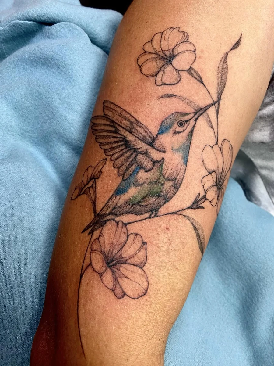Travail de Daniela Bravo