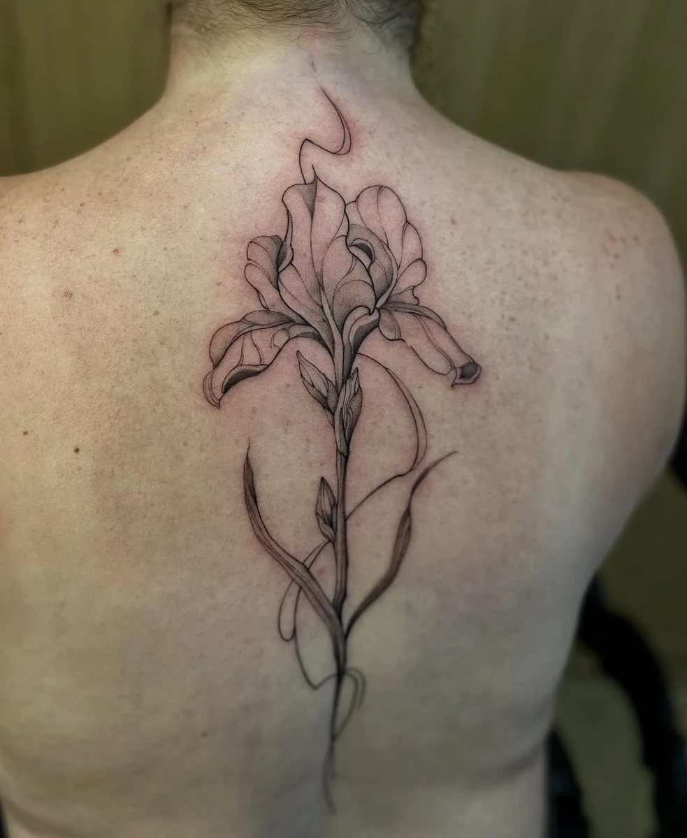 Travail de Daniela Bravo