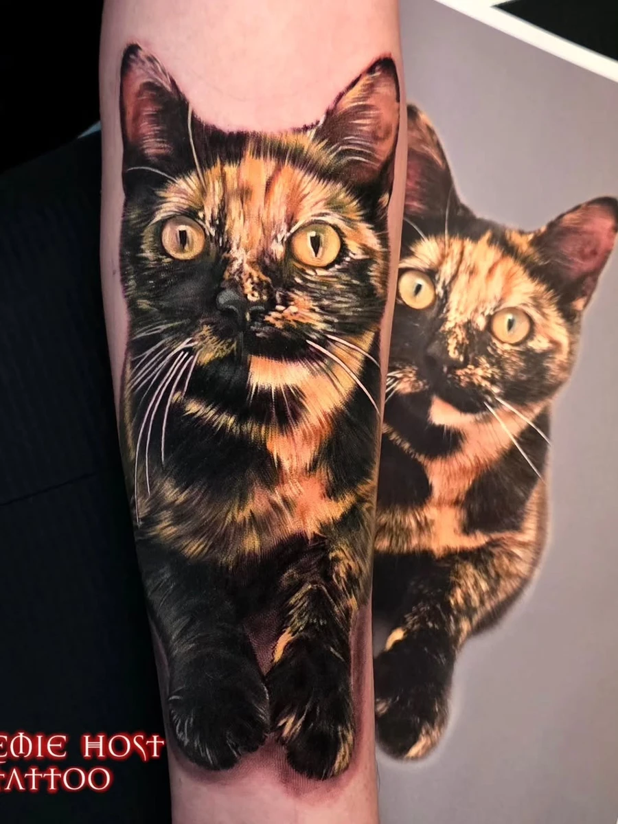 Hommage à Nala. Merci Logan de m'avoir confié ce projet.