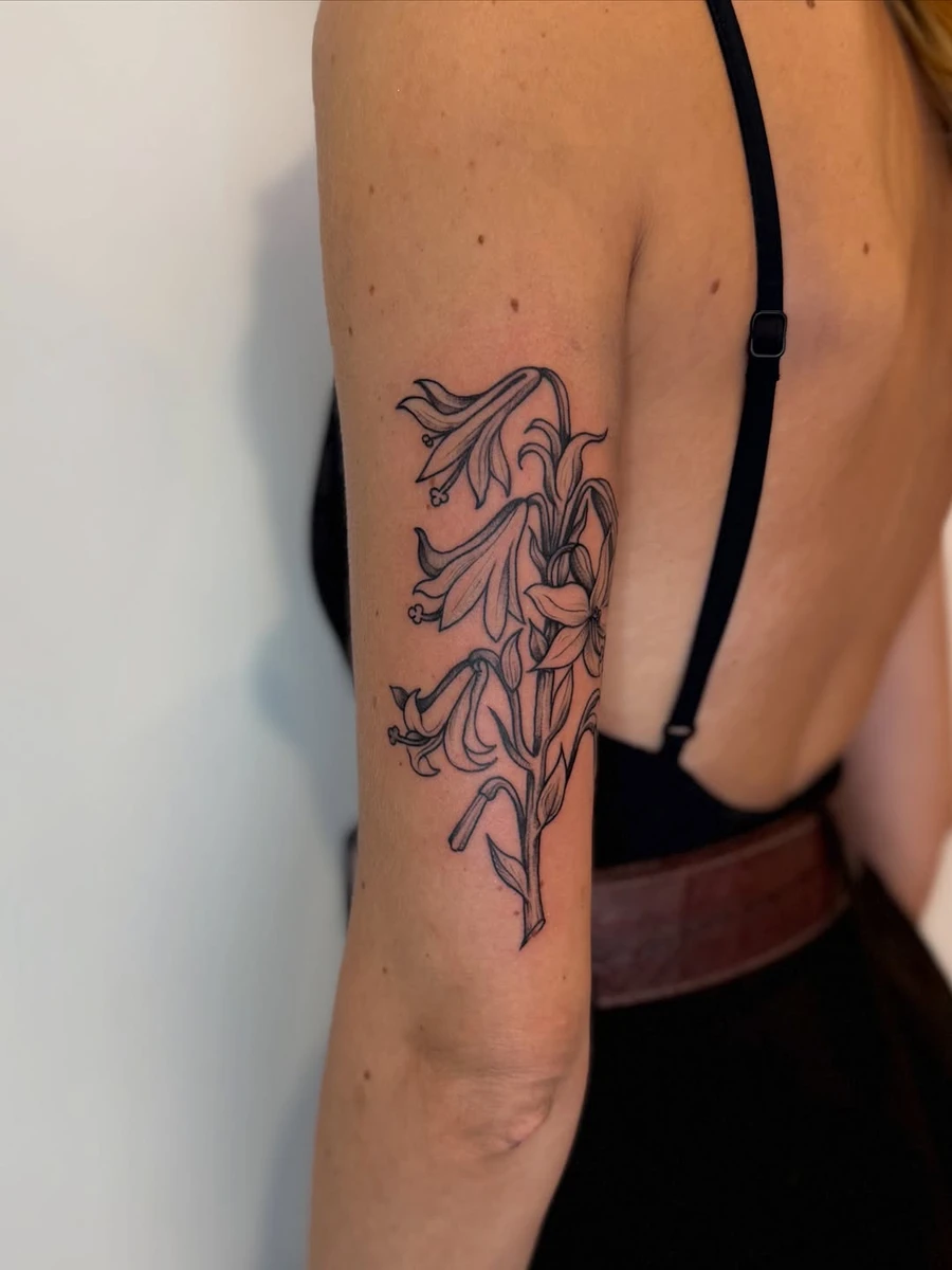 Travail de Tom Chaz