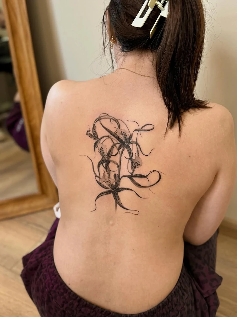 Travail de Emma