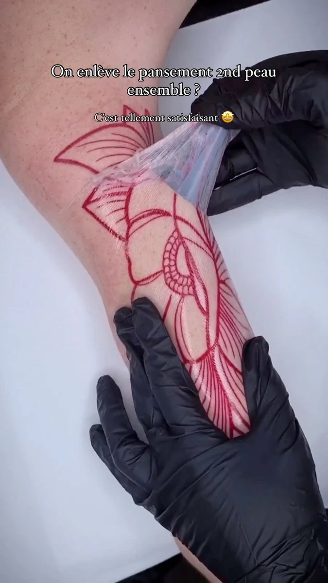 Travail de Pauline