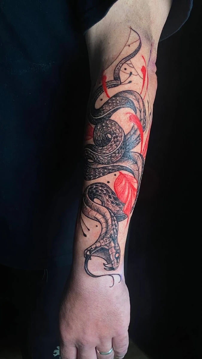 Milesker pour ce projet Sébastien 🤘🐍 trashpolka / réalisme graphique.
