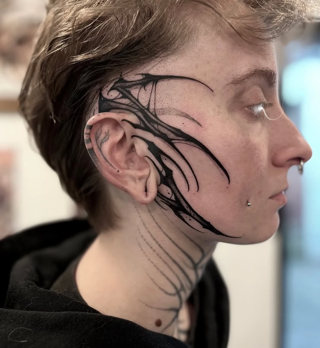 Travail de Chaos Vision