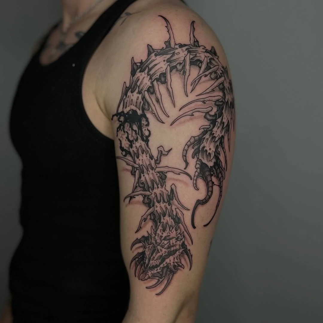 Travail de Chaos Vision