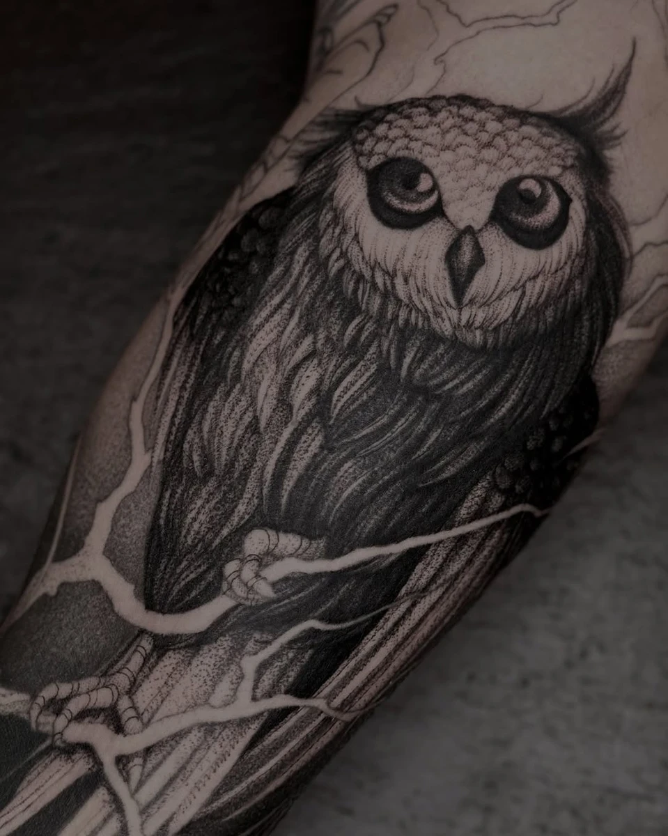 Owl — on a avancé sur le bras de mon frère.
