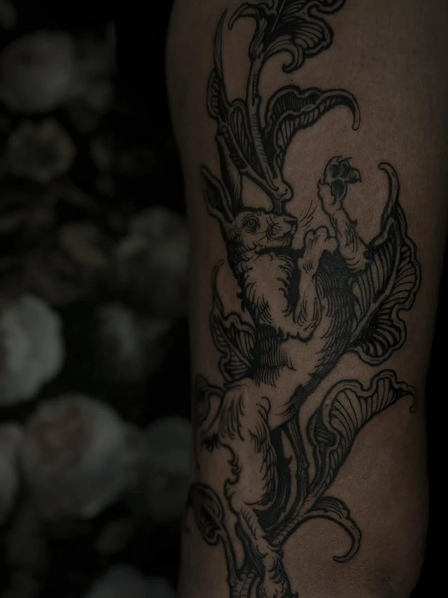 Portfolio de Terre Noire