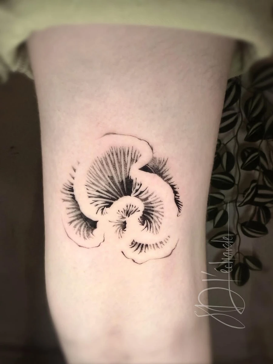 Flash abstrait inspiré d'un champignon réalisé chez @les_soeurs_douleur 🖤 #mushroomtattoo #tatouagechampignon #montpelliertattoo #graphictattoo #abstracttattoo #cheyennetattooequipment #emallaofficial #hornettattoosupplies #pantheraink #montpellier
