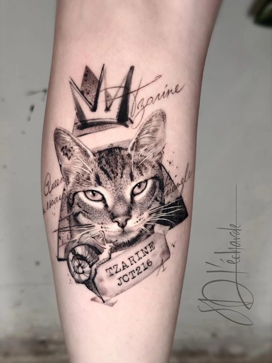 Merci @margauxdglr de m'avoir choisie pour rendre ce bel hommage à ta Queen Tzarine 🤍 à travers cette demande assez originale :) Réalisé chez @les_soeurs_douleur #cattattoo #catportraittattoo #tatouagechat #catlover #realistictattoo #graphictattoo #bestrealistictattoos #montpellier #montpelliertatt