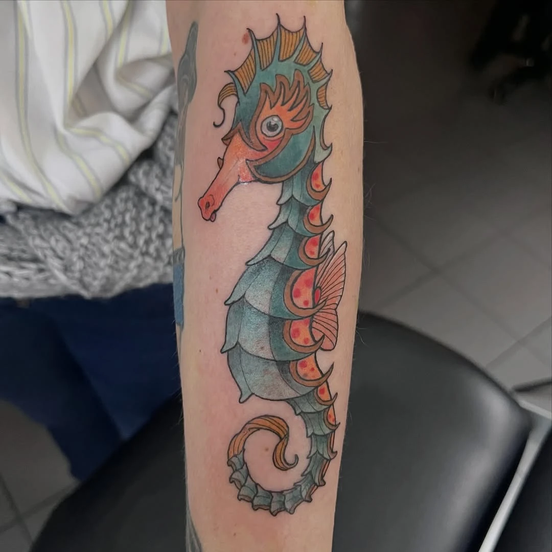 Hippocampe coloré