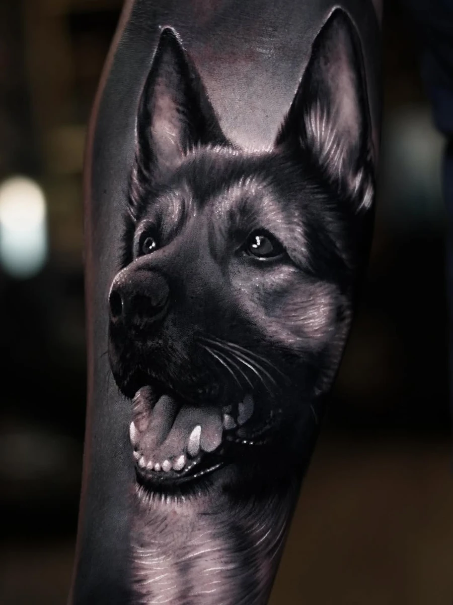 Mon client voulait le portrait de son fidèle compagnon. Réalisé lors de mon passage à la @lafolienoire_ chez mes amis @thomas_vincentink @alexmbrc Contact via le formulaire dans ma bio. #tattoodog #germanshepherddogs #realismtattoo #portrait #dog