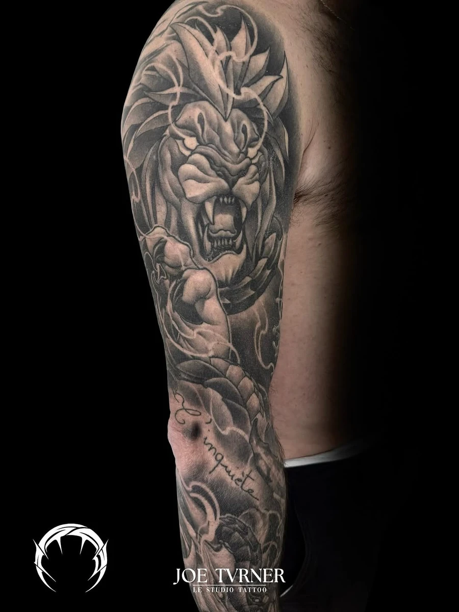 Travail de Fabien Sabatier