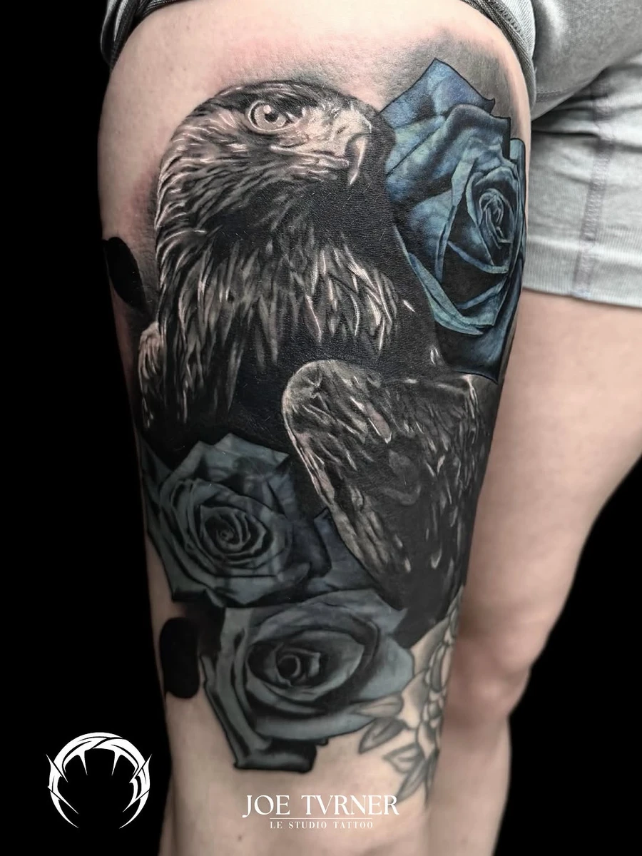 Travail de Fabien Sabatier