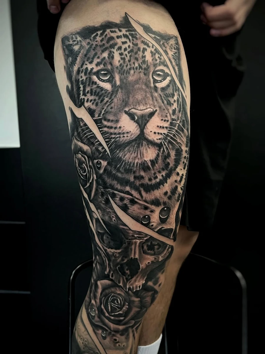 Travail de Fabricio Mello