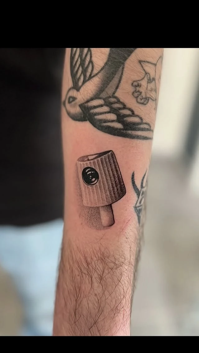 Travail de Maxime Saillant